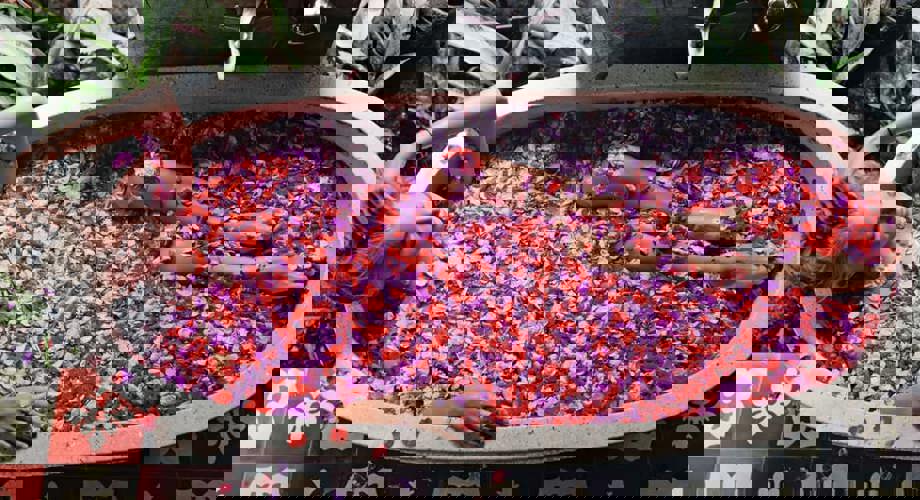 Savourer un week-end de bien-être au spa.